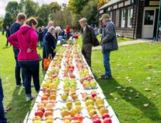 Apple Day