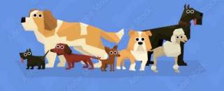 Save the Children dog show