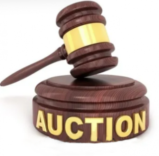 Charity Auction