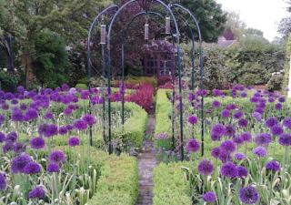North Moreton Open gardens