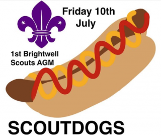 Scout dogs